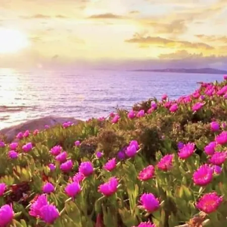 Vendégház Fercomar 3*