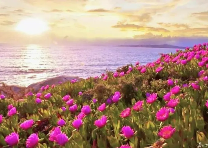 Pensión Fercomar 3*